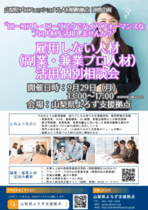 雇用しない人材（副業・兼業プロ人材）活用個別相談会